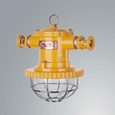 dgs10/18/24/127l(a) mining flameproof led roadway light